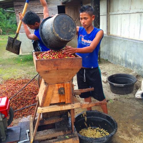 Indonesia/Onangganjang