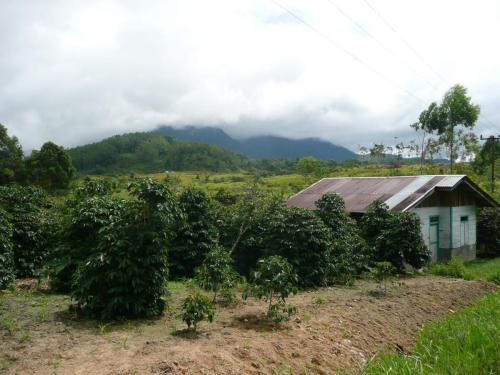 Indonesia/Onangganjang